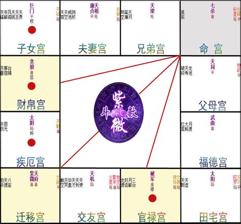 疾厄宮氣質|紫微斗數【紫微星入疾厄宮】解析